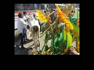 minister fell down from oxe cart in janachaitanya yatra - Sakshi