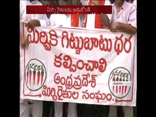 Chilli farmers pour out woes as Cong, CPI slam govt - Sakshi