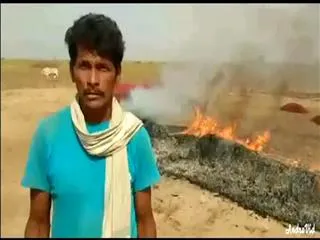 Mirchi Farmer's Tear Story in mancherial district - Sakshi