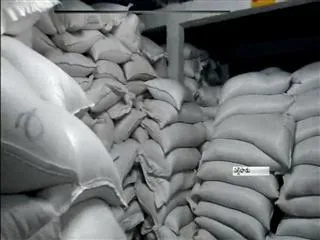 mirchi seeds caught in khammam district - Sakshi