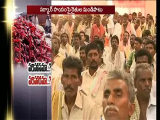 Mirchi Farmers Demands hike in Minimum Support Price - Sakshi