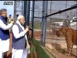 Prime Minister Narendra Modi at the Nandan Van Jungle - Sakshi