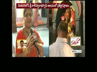 Maha Sivaratri Celebrations In Nellore - Sakshi