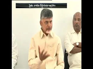 Chandrababu fires on NRI's - Sakshi