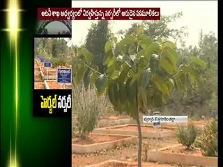 herbal nursery in kothagudem - Sakshi