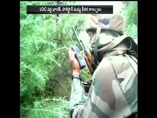7 Pak soldiers killed in LoC firing: army - Sakshi