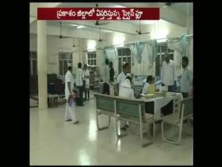 Swine flu is disturbing in Prakasam district - Sakshi