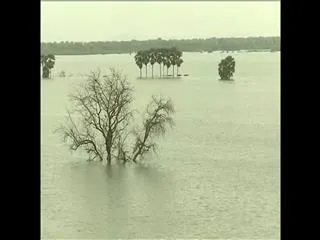Godavari projects with water in Telangana - Sakshi