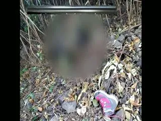 Hyderabad trekker found dead in Maharashtra - Sakshi