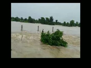Brooks overflow in Tandur - Sakshi