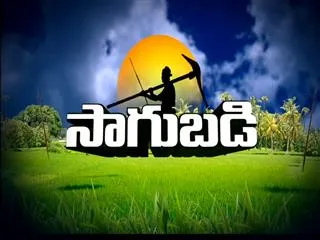 saagubadi raitu raajyam 19th August 2016 - Sakshi