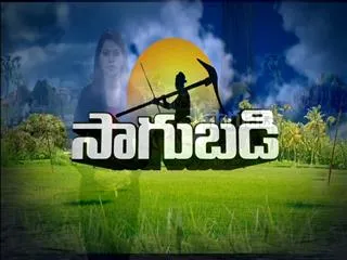 sagubadi 23rd Aig 2016 - Sakshi