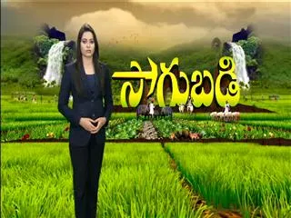 Sagubadi 26th Aug 2016 - Sakshi