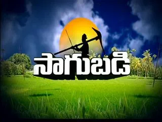 Sagubadi 28th July 2016 - Sakshi