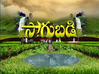 Sagubadi 30th August 2016 - Sakshi