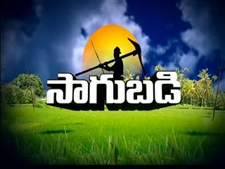 Sagubadi 6th Aug 2016 - Sakshi