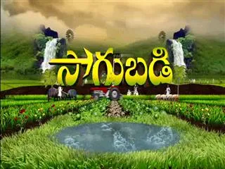 sagubadi 7th Sept 2016 - Sakshi