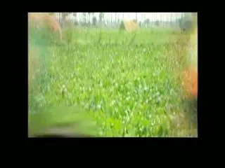 Star Raitu 7th January 2017 - Sakshi