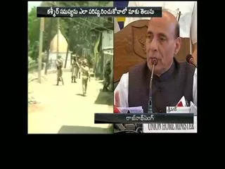 Dont use pellet guns, Rajnath Singh tells security forces on Kashmir visit - Sakshi