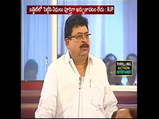 BJP mlc ramachandra Rao comments on budget - Sakshi