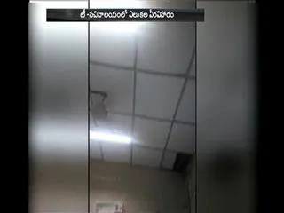 rats Wandering in  telangana Secretariat - Sakshi