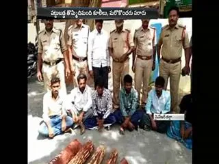 Red Sandle coolies Arest - Sakshi
