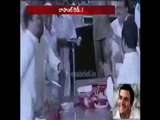 New team, new faces: Rahul Gandhi kicks off much-awaited Congress reshuffle - Sakshi