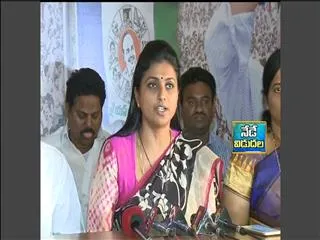 somany videos are there which cabinet has to see, says mla rk roja - Sakshi