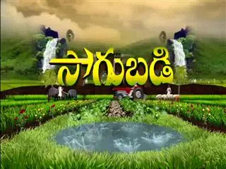Sagubadi 21st  Sept 2016 - Sakshi