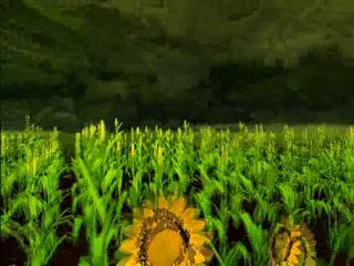 Sagubadi 23rd November 2016 - Sakshi