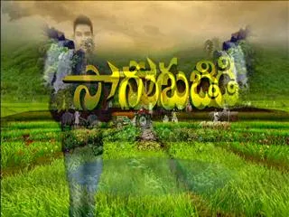 Sagubadi 25th November 2016 - Sakshi