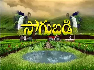Sakshi Sagubadi 5th September 2016 - Sakshi