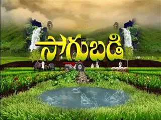 Sakshi Sagubadi 13th September 2016 - Sakshi