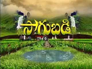 Sakshi Sagubadi 14th September 2016 - Sakshi