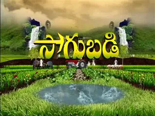 Sakshi Sagubadi 27th October 2016 - Sakshi