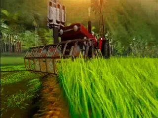 Sagubadi  12th November 2016 - Sakshi