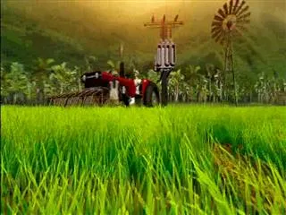 Sagubadi  17th November 2016 - Sakshi