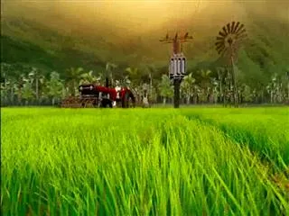 Sagubadi  18th November 2016 - Sakshi