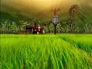 Sagubadi  19th December 2016 - Sakshi