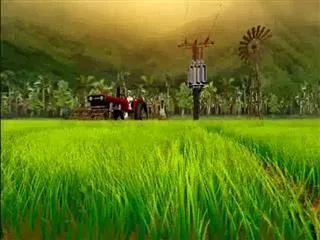 Sagubadi 23nd December 2016 - Sakshi