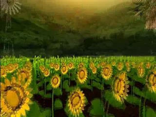 Sagubadi 24th December 2016 - Sakshi