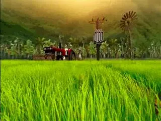 Sagubadi 26th December 2016 - Sakshi