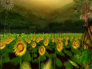 Sagubadi 12th January 2017 - Sakshi