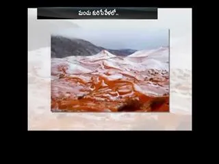 First Sahara desert snow in 40 years captured in photographs - Sakshi