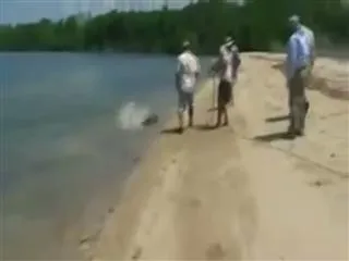 Fisherman battles with crocodile trying to steal shark he just caught - Sakshi