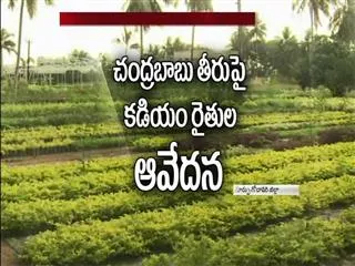 Kadiyam Farmers fires on Chandrababu Over Electricity - Sakshi