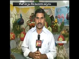 Art Gallery in vijayanagaram utsavalu - Sakshi
