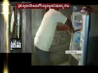 Snake in Fridge - Sakshi