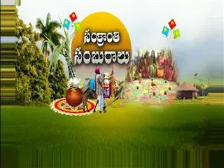 Sankranti Celebrations in Chilkur - Sakshi