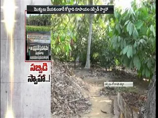 subsidy problems in west godavari districts - Sakshi
